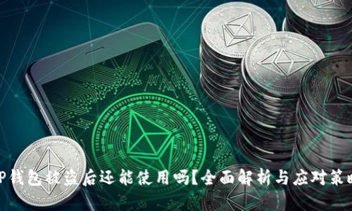 TP钱包被盗后还能使用吗？全面解析与应对策略